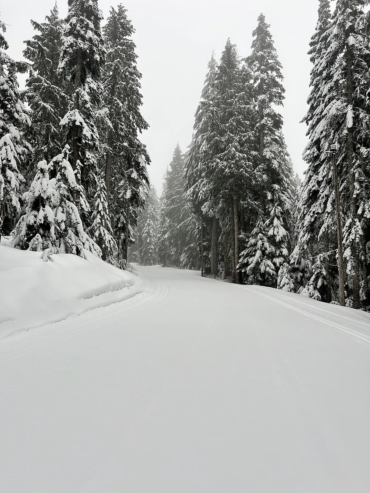 A trail in the Cypress Mountain Nordic area, where the Hollyburn Lakes route starts